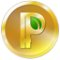 Peercoin on-line